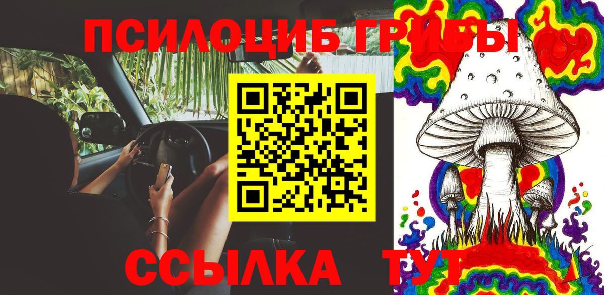 Новочеркасск  Псилоцибиновые грибы Psilocybine cubensis  Вход с VPN  Галлюциногенные грибы мицелий 